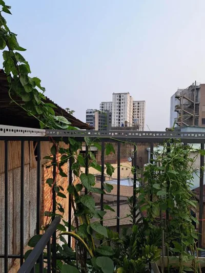 Homestay 37 AD – Fotos 8