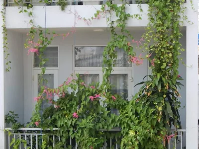 Homestay 37 AD – Fotos 11